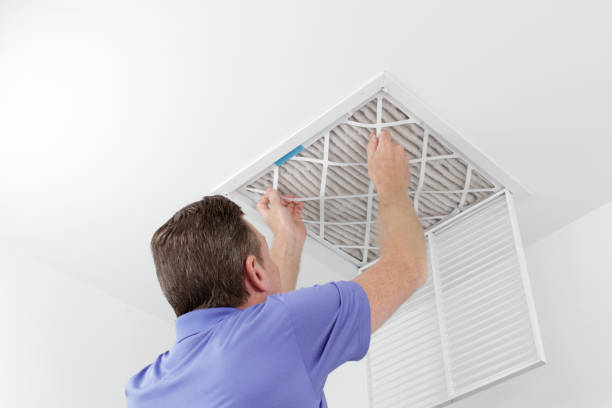 Best Air Duct Mold Removal  in Nicholasville, KY